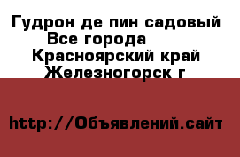Гудрон де пин садовый - Все города  »    . Красноярский край,Железногорск г.